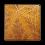 Yellow Maple Leaf Magnet