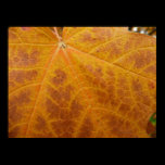 Yellow Maple Leaf Print