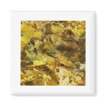 Yellow Maple Leaves Fridge Magnet