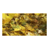 Yellow Maple Leaves photo cards