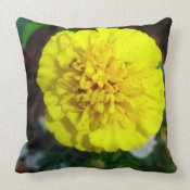 Yellow Marigold throwpillow