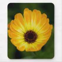 Yellow Marigold | Gelbe Ringelblume mousepads by HortusFloridus Yellow Marigold | Gelbe Ringelblume mousepads