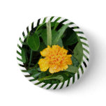 Yellow Marigold Round Button
