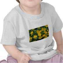 yellow Marsh marigold flowers Shirt