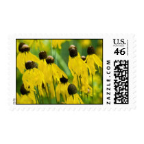 yellow mass postage