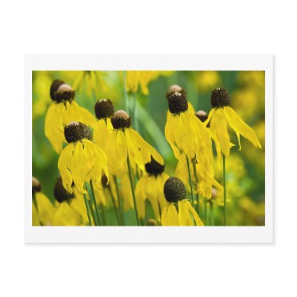 yellow mass postcard