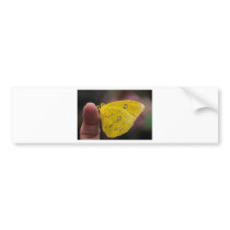 Yellow Mirage Bumper Sticker