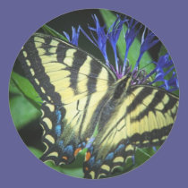Yellow Monarch stickers