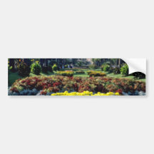 yellow Monte Carlo flowers Bumper Sticker