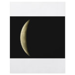 yellow-moon-eclipse flyers