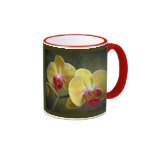 Yellow Moth Orchids - Phalaenopsis Mugs