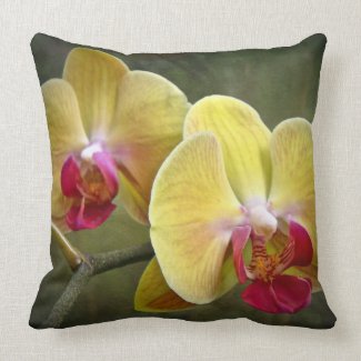 Yellow Moth Orchids - Phalaenopsis Throw Pillows
