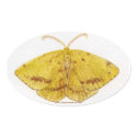 Yellow Moth Sticker sticker