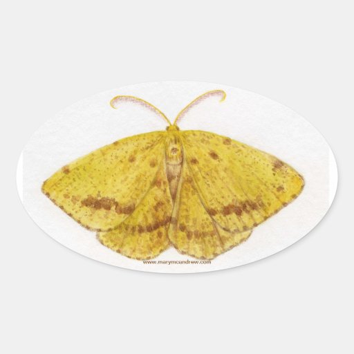 Yellow Moth Sticker