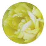 Yellow Mountain Tulip Stickers