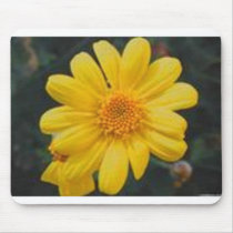 yellow mousepads
