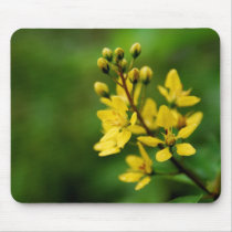 Yellow (mousepad) by jade__c Yellow (mousepad)