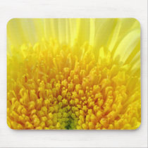 Yellow Mum mousepads