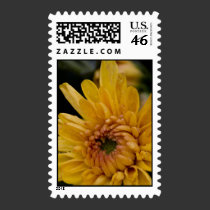 Yellow Mum postage by QuietDog_Images Yellow Mum postage