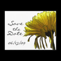 Yellow Mum Save the Date postcards