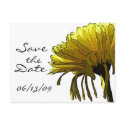 Yellow Mum Save the Date postcards by ArtByLindaLou Yellow Mum Save the Date postcards