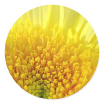 Yellow Mum Stickers