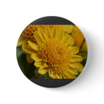 Yellow Mums Flowers buttons by lifesphere Yellow Mums Flowers buttons