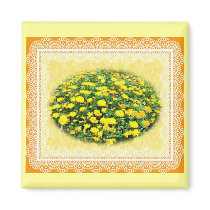 YELLOW MUMS magnets