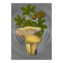 Yellow Mushrooms with Nutlike seed pods  posters