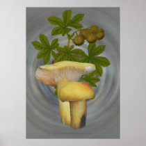 Yellow Mushrooms with Nutlike seed pods  Print