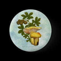 Yellow Mushrooms with seed pods Button buttons