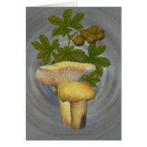 Yellow Mushrooms with seed pods Cards