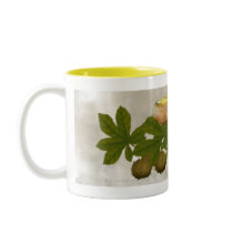 Yellow Mushrooms with Seed Pods Drinkware mugs