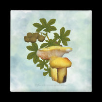 Yellow Mushrooms with Seed Pods Magnet magnets