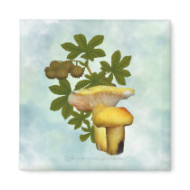 Yellow Mushrooms with Seed Pods Magnet by Rockangel1 Yellow Mushrooms with Seed Pods Magnet
