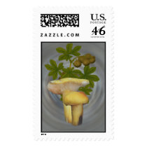 Yellow Mushrooms with seed pods Stamps