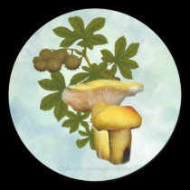 Yellow Mushrooms with seed pods stickers stickers