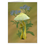 Yellow Mushrooms with tiny blue flowers Card