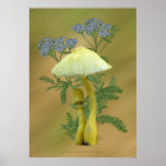 Yellow Mushrooms with tiny blue flowers  Print