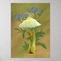 Yellow Mushrooms with tiny blue flowers  Print