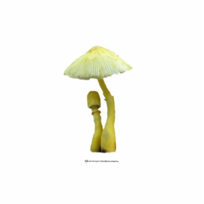 Yellow Mushrooms with tiny blue flowers Sculpture Photo Sculptures by Rockangel1