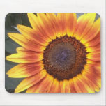 Yellow N Orange Sunflower mousepad