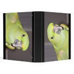 Yellow-Naped Amazon Parrot Binder