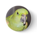 Yellow-Naped Amazon Parrot Button by digitalplayhouse Yellow-Naped Amazon Parrot Button