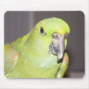 Yellow-Naped Amazon Parrot Mousepad by digitalplayhouse Yellow-Naped Amazon Parrot Mousepad