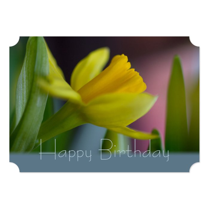 Yellow narcissus flower CC0744 Happy Birthday