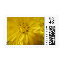 Yellow Nature Postage Stamp