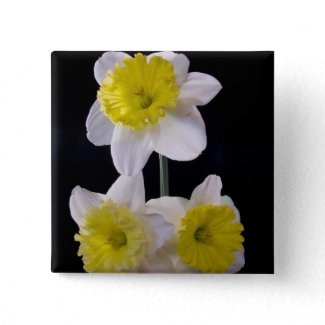 Yellow on White Daffodil zazzle_button