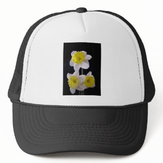 Yellow on White Daffodil zazzle_hat