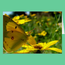 "Yellow on Yellow" Card cards